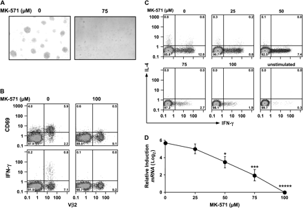 MK-571 inhibits MRP1 function and blocks T cell activation by superantigen. (A) MK-571 blocks superantigen-induced morphologic changes. PBMCs were stimulated overnight with TSST-1 (10 ng ml−1) in the absence or presence of MK-571 (75 μM). (B–D) MK-571 blocks superantigen-induced CD69, IFN-γ and IL-4 expression by CD4 T cells. (B) PBMCs were stimulated with TSST-1 prior to harvesting, fixing and staining for CD4, Vβ2 (the primary Vβ group to which TSST-1 binds), CD69 and IFN-γ. Distribution of CD4+ lymphocytes is shown. (C) IL-4 and IFN-γ are suppressed in a dose-dependent manner. PBMCs were exposed to increasing concentrations of MK-571 and stimulated with the combination of superantigens—SEA, SEB and TSST-1—for 4–6 h after which they were harvested, fixed and stained. Distribution of CD4 T cells is shown. (D) IFN-γ gene transcription is inhibited by MK-571. RT–PCR (Taqman) analysis of IFN-γ gene expression. Cumulative data are from six experiments; error bars display SD. *P ≤ 0.05, ***P ≤ 0.005, *****P < 0.0001 compared with no MK-571.