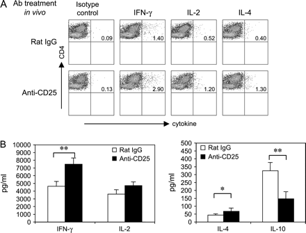 CD4+CD25+ T cells in recovery phase of EAE suppress Th1 and Th2 cytokine production. (A) Intracellular cytokine staining. LN cells from PLP 139–151-immunized SJL mice that were pre-treated with rat IgG or anti-CD25 antibody were stimulated with PLP 139–151 in vitro. After 4 days, viable lymphoblasts were re-stimulated with anti-TCR and anti-CD28 antibody for 6 h. After staining with anti-CD4 antibody and 7-AAD, cells were fixed and permeabilized to stain with antibodies specific for IFN-γ, IL-2 and IL-4. Cells were acquired by flow cytometry and the frequency of cytokine-secreting cells was determined in the live (7-AAD−) CD4 subset. (B) Cytokine ELISA. LN cells from PLP 139–151-immunized SJL mice that were pre-treated with rat IgG or anti-CD25 were cultured with PLP 139–151. The levels of IFN-γ, IL-2, IL-4 and IL-10 in the supernantant 2 days after activation were measured by using ELISA. Data were the mean values ± SD of three independent experiments (*P < 0.05; **P < 0.01).