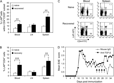 TGF-β is involved in recovery from EAE. Frequency of CD4+CD25+LAP+ T cells (A) and CD4+LAP+ T cells (B) in naive and EAE-recovered mice. Cells (1.0 × 106) of blood, LN and spleen from naive or EAE-recovered mice (on day 30) were first incubated with anti-CD16/CD32, then stained with 1.0 μg of biotinylated anti-LAP (TGF-β1) polyclonal antibody for 30 min. Cells were washed twice and incubated with PE-conjugated anti-CD25, FITC-conjugated anti-CD4, APC-conjugated streptavidin (1:200 dilution) and 7-AAD. The analysis was performed on a FACScan flow cytometer with CellQuest software. The frequencies of LAP+ cells were determined in the live CD4+CD25+ or CD4+ population (naive mice, n = 12; recovered mice, n = 14, **P < 0.01; ***P < 0.001). (C) Dot plots of CD4+LAP+ T cells in blood and spleen from naive or EAE-recovered mice. (D) Neutralization of TGF-β in vivo. EAE mice were given i.p. 0.4 mg of mouse IgG (open diamonds) or 0.4 mg of anti-TGF-β neutralizing antibody (filled squares) on days 24, 26, 28 and 30 after induction of EAE. Animals were scored daily for symptoms of EAE for 36 days. The result shown here was one of three independent experiments. There were 5–7 mice per group.