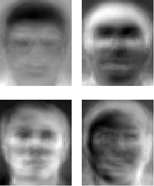 AT&T Laboratories, Eigenfaces of faces from the ORL face database.