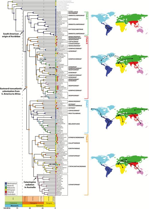 Biogeographical histories of different lineages of Acrididae as inferred by BioGeoBEARS. Each terminal is a genus, and the colored squares indicate where the species in the genus are currently distributed, as defined by six biogeographical realms. The colored circles on the nodes represent the probabilities of each possible geographical range just before and after each speciation event. Some of the colored circles do not match with one of the six pre-defined colors for the six biogeographical realms, which show ambiguity in the ancestral distribution. Orange represents either Ethiopian (yellow) or Oriental (red), and olive green represents either Ethiopian (yellow), Oriental (red), or Palearctic (green). Major biogeographical events are indicated by the arrows on specific nodes, and the recolonization of the New World (NW) from the Old World (OW) by various lineages is indicated by OW→NW. The colored maps next to each clade show general hypothesized patterns of dispersals and colonization events for the subfamilies within each clade. A star represents the origin of Acrididae in South America. Black circles represent a likely area where the most recent common ancestor of each clade could have originated. Thick arrows indicate likely paths of colonization by major lineages, and thin arrows represent likely paths of colonization by lower taxonomic units (e.g., genus). Dotted arrows indicate possible dispersal events between the Old World and the New World.