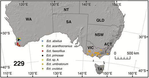 Map of South Australia showing the distribution of Ectemnoides spp.