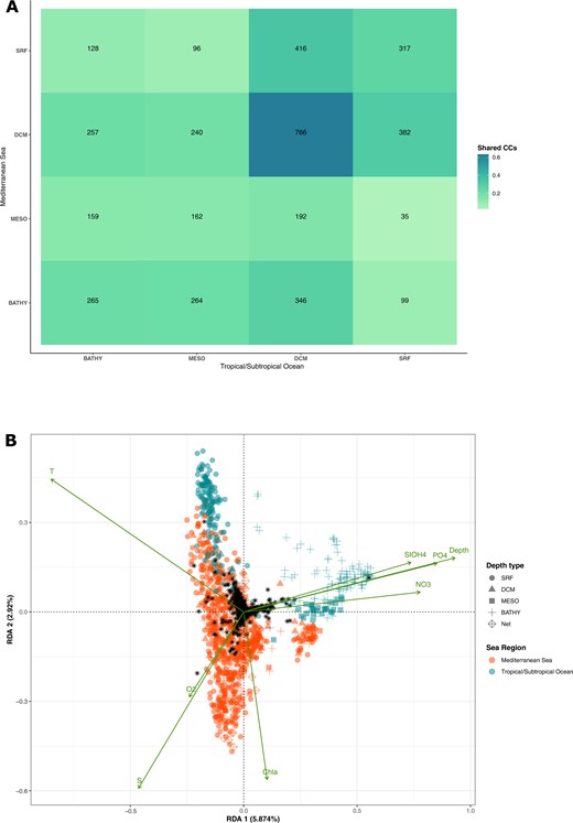 A Proportion of Syndiniales CCs unassigned at genus level and shared between the Mediterranean Sea (y axis) and the Subtropical ocean (x axis) per depth layer (SRF for surface, DCM for Deep Chlorophyll Maximum, MESO for mesopelagic layer (>200–1000 m), BATHY for bathypelagic layer (>1000–4000 m)). The percentages illustrate major trends and not proportions (i.e., sums of percentages exceed 100% as combinations of shared CCs are not exclusive and some CCs are present in multiple depth layers). The number of samples from each depth layer for the Mediterranean Sea are: SRF = 571, DCM = 88, MESO = 97 and BATHY = 46 and for the Subtropical ocean: SRF = 136, DCM = 13, MESO = 30 and BATHY = 110. The number of CCs found in each depth layer is: SRF = 1620, DCM = 1221, MESO = 449 and BATHY = 518 for the Mediterranean Sea and SRF = 1726, DCM = 943, MESO = 611 and BATHY = 1281 for the Subtropical ocean. B Redundancy Analysis (RDA) for Mediterranean Sea and Subtropical Ocean data. The variation of abundance in unassigned Syndiniales CCs (black stars) is correlated to the variation of physicochemical parameters (green arrows). The most pertinent environmental parameters allowing to differentiate the studied marine regions were selected (cf. Materials and Methods: Spatiotemporal patterns of metabarcodes and CCs). The samples are represented by different colors for Mediterranean Sea (orange) and Subtropical Ocean (blue). The shapes indicate the depth layer: dot; SRF, triangle; DCM, square; MESO, cross; BATHY and square/cross; NET (vertical profile samples (0–500 m)). The dimensions of the input abundance matrix are: 4037 CCs and 1055 samples (768 samples for the Mediterranean Sea and 287 for the Tropical/Subtropical Ocean). The global RDA (cf. Materials and Methods: Spatiotemporal patterns of metabarcodes and CCs) was statistically significant at 0.005% and the first 2 axes of the RDA with the selected explanatory variables (shown below) were significant at 0.01%.