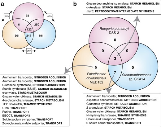 a Transcription was enriched for 1393 genes in Micromonas across all treatments. Boxed values indicate pair-wise comparisons of the genes enriched in both species as a percent of the genes enriched in only one or the other. Complete gene information and fold-change values are given in Tables S5, S6, and S7. Significance was determined based on padj values ≤0.01. b Transcription was enriched for 19 potential substrate-related genes in Micromonas, 10 of which were found for more than one co-cultured bacterium. Complete gene information and fold-change values are given in Table S8.