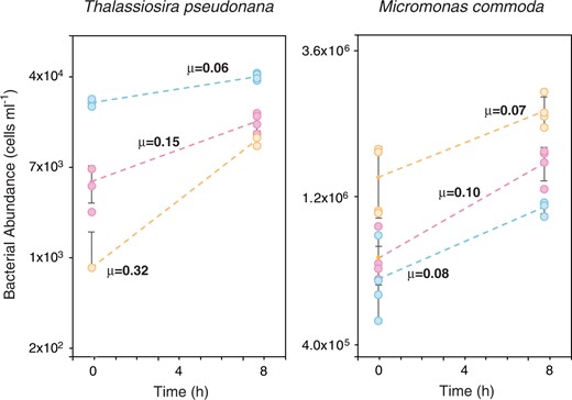 Replicates (n = 4) are plotted individually, and standard errors of the means are indicated. Specific growth rates (μ, in units of h−1) are estimated from the T0 and T8 cell numbers, assuming exponential growth. Pink symbols, Ruegeria pomeroyi DSS-3; blue symbols, Stenotrophomonas sp. SKA14; orange symbols, Polaribacter dokdonensis MED152. Initial phytoplankton exometabolite pools consisted of organic compounds released during 7 d of axenic culture (exponential through early stationary phase).