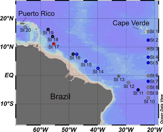 Color of the station location indicates hand-picked Trichodesmium colony morphology, specifically puff (blue), tuft (black), combined (blue and black), not hand-picked (red), no metagenomic data (gray) and metaproteomic data (asterisk).