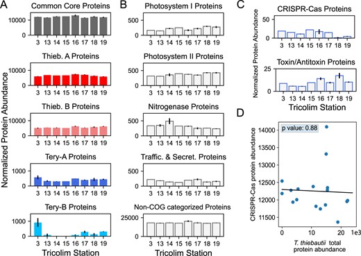 A Protein abundance data sorted into Trichodesmium phylogenetic groups. Proteins were normalized across each sample, then sorted into the respective phylogenetic group and summed. Error bars indicate the standard deviation of the averaged biological replicates. Quantitation is displayed as normalized spectral counts (see “Methods”). Core and T. thiebautii proteins are much more abundant than those derived from T. erythraeum. B Protein abundance data sorted by biological function. Again, proteins were normalized across each sample, then sorted by COG function and summed. Selected, highly abundant functions are shown. C Summed normalized protein data for CRISPR-Cas and toxin/antitoxin proteins across the TriCoLim transect. D Nonsignificant correlation of CRISPR-Cas protein abundances versus T. thiebautii total protein abundance (p = 0.88).