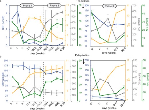 Numbers marked by a star symbol in Phase 3 indicate days after P re-addition or P-deprivation at day 57. a The low P experiment is characterized by proliferation in Phase 1 (3 weeks), pausing proliferation in Phase 2 (5 weeks) and proliferation after P re-addition in Phase 3 (4 weeks), while the high P control experiment (b) is characterized by proliferation in all Phases (1–3). Error bars display standard deviation of triplicates.
