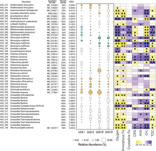 ASVs are listed in alphabetical order and with the percent 16S rRNA gene identity to their nearest taxonomic neighbor and its GenBank accession number. Bubble color indicates ASVs having a nearest neighbor with the capacity to use reduced iron and sulfur compounds (orange), ammonia (green), or C1 compounds (blue) as electron donors. Heat map colors represent the correlation coefficient for the relative abundance of each ASV to environmental variables using Spearman’s correlation test. ** = p ≤ .001; * = 0.05 ≥ p > .001.