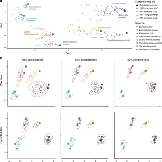 a Overall representation of all complete and subsampled genomes. Colours indicate bacterial genomes while shapes show their completeness level. Solid squares are complete circularised genomes while faded squares are their near-complete counterparts reconstructed from metagenomic data. Diamonds, triangles and circles indicate the completeness tile of subsampled MAGs. b Comparison between the raw and corrected functional profiles of genomes subsampled at 70%, 80 and 90% completeness. Ellipses show the 95% confidence interval of the ten replicates subsampled at each completeness tile. Solid circles refer to 100% genomes, which can be observed that fall more often within the 95% confidence interval ellipses of incomplete genomes when functional profiles are corrected, indicating corrected fullness values are closer to reality than the original ones.