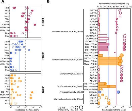 A Maximum methane produced in the headspace of mesocosms. Replicates measuring <100 ppm not shown. B Enrichment of 16S rRNA gene ASVs (>3% relative sequence abundance) affiliated with Mcr-encoding archaea across treatments (bars) paired with respective headspace methane yields (circles). Circle size proportional to the log2 fold change in methane yield between treatment and control (i.e., mesocosm under close to in situ condition) for each site. Dashed lines indicate 1% methane. Solid lines indicate average methane concentration in mesocosms under close to in situ conditions (no substrate, no antibiotics) for each site. Open symbols: without antibiotics; filled symbols: with antibiotics. Colors: orange, LCB003, magenta, LCB019, blue, LCB024. Abbreviations: NON, no amendment control; ACE, acetate; MET, methanol; MMA, monomethylamine; FOR, formate; HYD, hydrogen (H2); DIC, dissolved inorganic carbon (HCO3− + CO2); BES, bromoethanesulfonate (methanogenesis inhibitor); PFA, paraformaldehyde (killed control). Replicates indicated as A-C and+, with antibiotics or -, without antibiotics. Methane curves and extended relative abundance data for all mesocosm replicates are reported in SI Figs. 5–7 and SI Data 4.