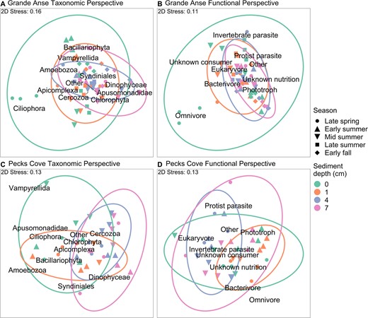 Community dispersion around the centroid for each sediment depth, pooling over seasons, are captured by 95% confidence ellipses. Positions of taxa or trophic functional subgroups represent correlations with nMDS axes and indicate directions of increasing magnitude. “Other” comprises subgroups “Mixotroph”, “Vertebrate parasite”, “Unknown animal parasite”, “Plant parasite” and “Unknown parasite”, or taxa with <1% of average protist reads. Panels A and C illustrate the taxonomic perspective at each site, while B and D display the functional perspective. In A and C, the small lines indicate the actual placements of taxa in ordination space.