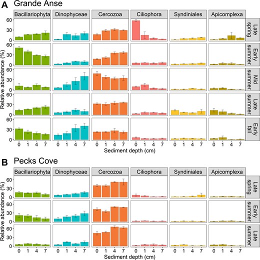 n = 3 samples, except in early summer (1 cm and 7 cm depths) at Grande Anse (A) and late summer (1 cm depth) at Pecks Cove (B) where n = 2.