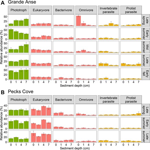 n = 3 samples, except in early summer (1 cm and 7 cm depths) at Grande Anse (A) and late summer (1 cm depth) at Pecks Cove (B) where n = 2. Abundant “Unknown consumer” and “Unknown nutrition” subgroups are not shown here. Less abundant “Mixotroph”, “Vertebrate parasite”, “Unknown animal parasite”, “Plant parasite”, and “Unknown parasite” subgroups are also not shown.