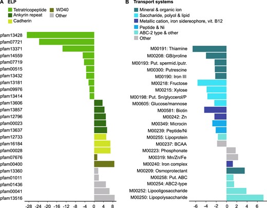(A) Eukaryotic-like proteins (ELPs). (B) Transport systems. X-axis represents fold-change. Negative numbers represent depletion at 31.5 °C, while positive numbers represent enrichment at 31.5 °C. Abbreviations are “GB” for glycine betaine, “put.” for putative, “spermid.” for spermidine, “putr.” for putrescine, “BCAA” for Branch-chain amino acids.