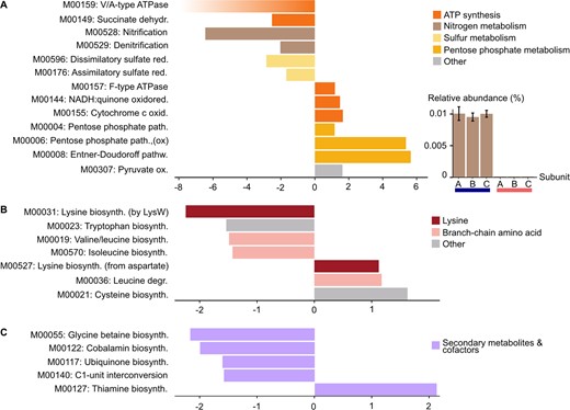 A (left panel) Energy metabolism modules. A (right panel) Relative abundance of KOs representing ammonia monooxygenase subunits at 28.5 °C (blue) and 31.5 °C (red). B Amino acids modules. C Secondary metabolites modules. All panels except A-right show fold-change on the x-axis, with negative numbers representing depletion at 31.5 °C and positive numbers representing enrichment at 31.5 °C. The colour gradient added to M00159 represents the absence of this module at 31.5 °C.