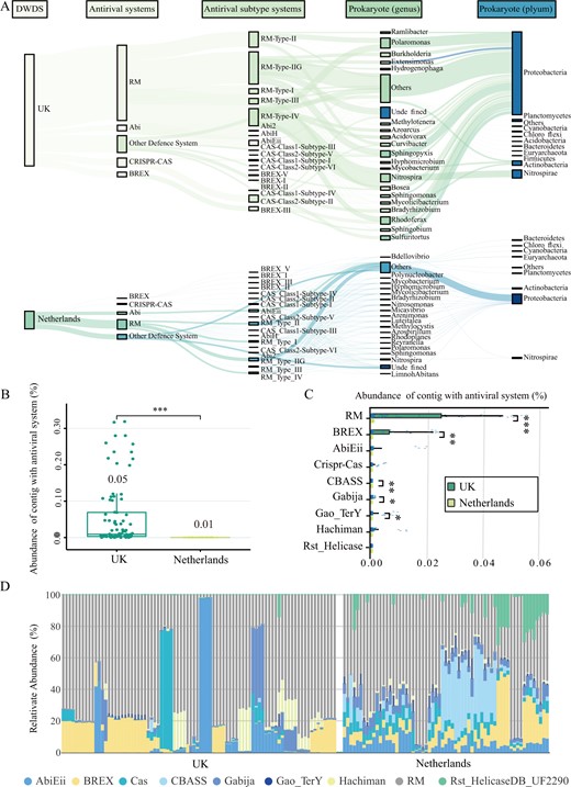 A The distribution of antiviral system in prokaryotic community in DWDS from the UK (top) and the Netherlands (bottom). B The total relative abundance of lysogenic prokaryotic contigs with antiviral system among all microbial contigs (TPM) in the UK (green) and Netherlands (yellow) DWDS. C The relative abundance of lysogenic prokaryotic contigs with different antiviral systems among all microbial contigs (TPM) in the UK (green) and Netherlands (yellow) DWDS. D The proportion of each defense system of lysogenic prokaryotic contigs among the total defense system of lysogenic prokaryotic contigs (%).