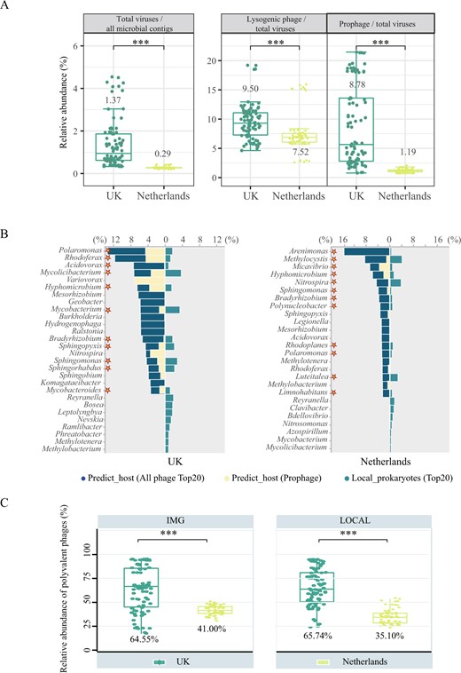 A From left to right, the fraction of free viral contigs (identified by “Virsorter2+CheckV+Virsorter2” method) among all microbial contigs; the fraction of lysogenic phages among all viral contigs (identified by Deephage); the fraction of prophage (identified by “CheckV+Virsorter2” method) among all viral contigs. B Association between predicted-hosts and local dominant prokaryotic genera in disinfected UK (left) and non-disinfected Netherlands (right) DWDS. The mazarine bars represent the relative abundance of predicted dominant host genera (top 20) in all potential hosts, while the yellow bars represent the ratio of the dominant genera associated with prophages, and the green bars represent the relative abundance of dominant prokaryotic genera (top 20) among all prokaryotes. The asterisks mean that the dominant viral host genus was matched with the dominant prokaryotic genus analyzed by DWDS metagenomic data. C The relative abundance of polyvalent phages among all viruses linked to the host in the UK (green) and the Netherlands (yellow) DWDS. Viruses linking with two or more prokaryotic genera were defined as polyvalent phages. The prediction was performed based on IMG/VR database (left) and based on local DWDS metagenomic data (right).