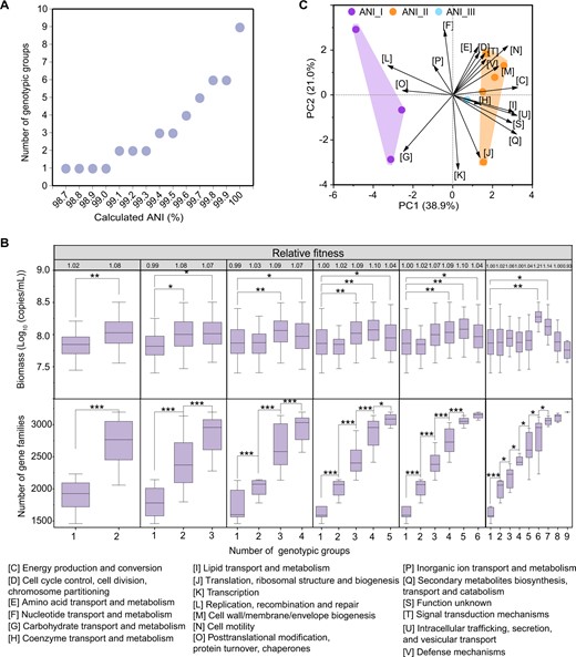 A Classification of genotypic groups of L. acetotolerans under different ANI levels. The lowest ANI level among 9 isolates was 98.7%. B Relative fitness, biomass (qPCR) and number of gene families in mono- and cocultures of different genotypic groups in 6 classification methods according to different ANI levels. Difference of biomass in 95 trials containing 9 monocultures and 86 cocultures (Supplementary Table 2). Cultures were performed in 1.5 mL of chemically defined medium in 96-well plates under static and anaerobic conditions at 30 °C for 8 days. Error bars indicate the standard deviation from four biological replicates. Asterisks indicate significant differences of biomass and number of gene families in coculture and monoculture (t-test, *p < 0.05, **p < 0.01, ***p < 0.001). C The variation in the gene contents of all COG categories in three ANI groups (classified by 99.5% average nucleotide identity) compared by principal component analysis.