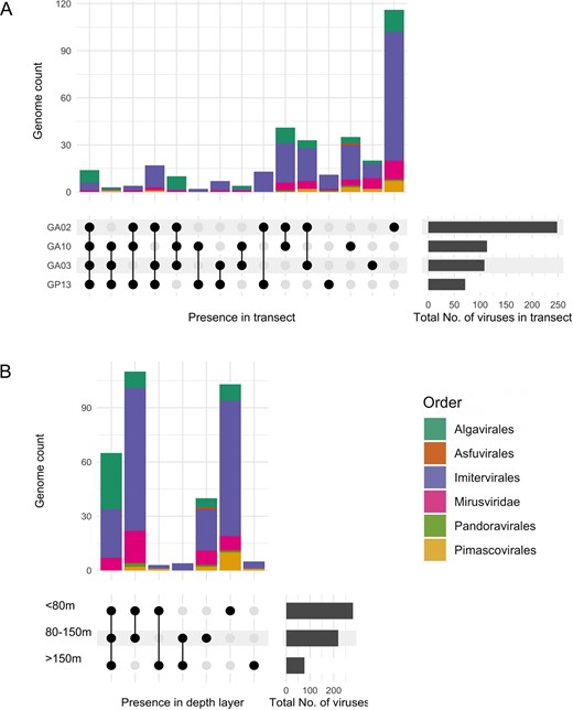 The bar graphs show the intersections of genome distribution between the four transects (A) and water depth layers (B). Horizontal bars (right) indicate the total number of genomes found in each transect; black dots indicate the presence in one or multiple transects; the corresponding vertical bars indicate the number of genomes with the presence described by the dots.