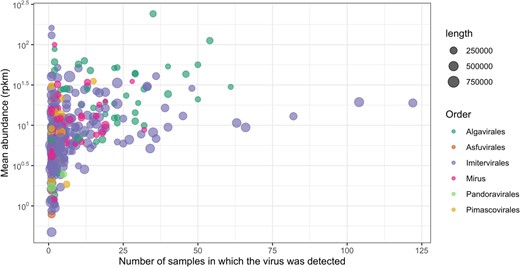 The y-axis shows the average abundance of a given individual genome (in RPKM), and the x-axis shows the number of samples from which the virus was recovered. Dots are colored by the viral order and dot sizes represent the length of the genomes.
