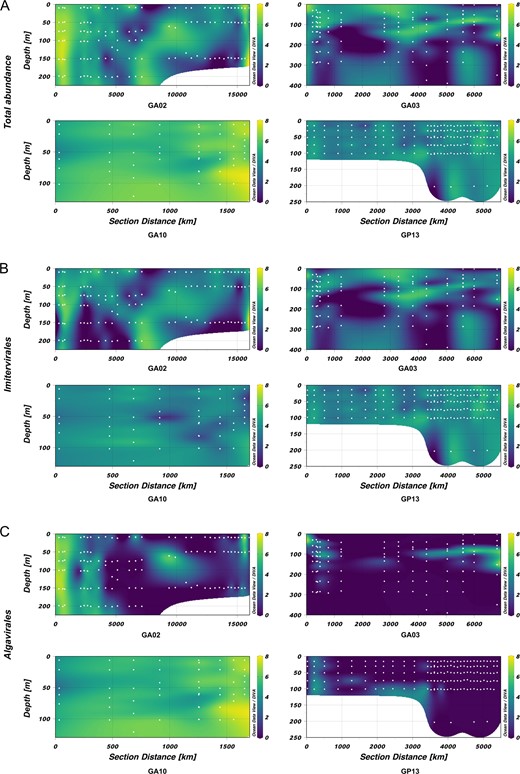 Graphs show the viral abundance (calculated in RPKM, natural log transformed) of (A) total giant viruses present in each of the transect, (B) viruses of the Imitervirales order, and (C) viruses of the Algavirales order. Samples were ordered based on the distance along transects, beginning from the first sampling location of cruise tracks (0 km). White dots denote the sampling location along the transect of each sample.