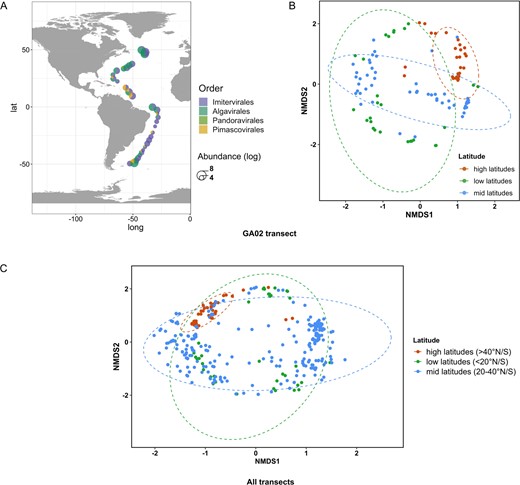 A Relative abundance of giant virus communities along the GA02 transect. Pie charts indicate the community composition in each sampling location, with sizes corresponding to the total abundance of the Nucleocytoviricota community. Community composition between latitudinal locations NMDS ordination based on Bray-Curtis distance matrices of viral communities collected in the (B) GA02 transect, stress = 0.3 (C) All four bioGEOTRACES, stress = 0.3. Latitudinal groups are color-coded by sample locations at higher than 40°N/S, from 20° to 40°N/S, and below 20°N/S (equatorial). Ellipses represent 95% confidence intervals. Viral communities are significantly different between groups (Permanova p < 0.001).