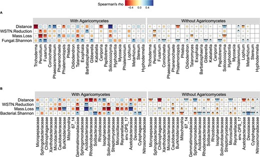 A Relationships between top fungal genera and wood mass loss, soil WSTN reduction, fungal Shannon diversity across the distance gradient from the edge of forest. B Relationships between top bacterial families and wood mass loss, soil WSTN reduction, bacterial Shannon diversity across the distance gradient from the edge of forest. With Agaricomycetes: n = 31, without Agaricomycetes: n = 111, WSTN: soil water-soluble total N. *P < 0.05, **P < 0.01, ***P < 0.001.