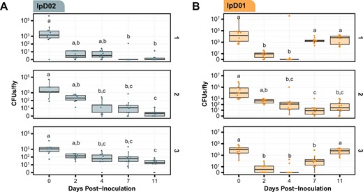 CFU/fly was measured following inoculation with either (A) lpD02 or (B) lpD01. CFUs in each of ten flies per arena were measured at each time point. Data are plotted on a pseudo-log scale so the full range of colonization levels can be shown. Results from three independent arenas are shown in subpanels labeled 1, 2, and 3. Letters above each boxplot represent groups that are significantly different from one another (p < 0.05, Dunn’s test with Bonferroni correction).
