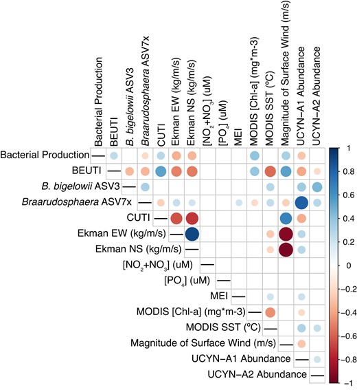 UCYN-A symbiont/host ASVs were CLR-transformed and correlated with environmental parameters via Spearman’s rank-order correlation. Dot size indicates the strength of correlation, while dot color represents positive or negative associations. Only statistically significant correlations (p < 0.05) are shown via dots; correlations between variable pairs that are insignificant or that do not correlate are represented by blank squares. BEUTI Biologically Effective Upwelling Transport Index, CUTI coastal upwelling transport index, EW East-West, NS North-South, MEI Multivariate ENSO Index.