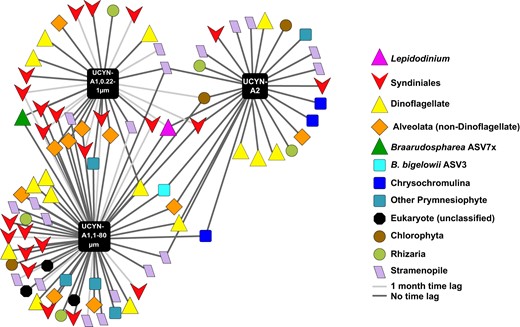 Networks were generated via eLSA and visualized in Cytoscape 3.5. Each node represents one ASV; only ASVs that co-occurred with P < 0.005 and Q < 0.01 by both Pearson’s and Spearman’s correlation are shown using easily recognizable names. QIIME-generated hashes of each node are presented in Table S3; 16S and 18S sequences of each node, including UCYN-A symbionts, are publicly available (see Data Availability Statement).