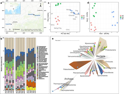 a Map of the sampling area showing the locations of the sites and their relative locations in Asia. b Relative abundance of bacteria and archaea at the phylum inferred using rps11 gene coverage across the metagenomic assemblies. c A PCA biplot demonstrating the differences in paddy soil chemistry, plotted using data presented in Table S1. d PCoA of Bray-Curtis dissimilarity between microbial communities across the sampling sites at the phylum level, plotted using data shown in Table S2. e An unrooted phylogenomic tree of GTDB representative genomes and MAGs recovered in this study. MAGs from different rice paddies are assigned colored dots at the end of the tree branches (red: HX; green: GX; blue: SK). Hg methylator MAGs are indicated by the yellow star symbols. The tree includes 1368 representative genomes from GTDB and 159 MAGs retrieved from mining-impacted rice paddies. Major lineages (i.e., phylum), as well as lineages where our MAGs belong, are assigned colors arbitrarily. See Methods for details on genome inclusion and tree inference. (E Edwardsbacteria, K Krumholzibacteriota, G Gemmatimonadota).
