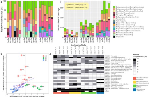 a Taxonomic classification of the hgcA sequences at the phylum level and their abundance in relative abundance. b A dbRDA investigating the relationship between hgcA-based community composition Hg methylators and the geochemical parameters in our dataset of 18 samples from the three sampling sites. (Abbreviations: Phylum-level: Acid: Acidobacteria, Acti: Actinobacteria, Bact: Bacteroidetes, CaAM: Candidatus Aminicenantes, Chlo: Chloroflexi, Dlta: Deltaproteobacteria, Eury Euryarchaeota, UC unclassified, Class-level: Ana: Anaerolineales, Bac: Bacteroidales, Clo: Clostridiales, Def: Desulfobacterales, Dem: Desulfuromonadales, Mei: Methanomicrobiales, Mes: Methanomassiliicoccales) c Taxonomic classification of the hgcA sequences at the phylum level and their abundance in normalized gene coverage. d Metabolic profile showing the completeness of essential metabolic pathways in MAGs of putative Hg methylators recovered in this study. The colored bars at the bottom represent their corresponding taxonomic classification at the phylum and class level.