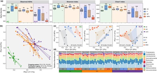 a Bacterial species richness and diversity as estimated by the Observed, Shannon and Chao1 indexs. b Principal coordinates analysis (PCoA) plot based on Bray–Curtis distance as affected by cropping system, fertilization and their interactions. c PCoA plot based on Bray–Curtis distance as affected by fertilization in each cropping system. d The relative abundances (%) of major taxonomic groups at the bacterial phyla level. Legend: AC continuous alfalfa system, WC continuous wheat system, GLR grain-legume rotation system, CK unfertilized control, P phosphorus, NP nitrogen + phosphorus, NPM nitrogen + phosphorus + manure. The uppercase letters indicate significant differences among different cropping systems under the same fertilization treatment, whereas the lowercase letters indicate significant differences among different fertilization treatments under the same cropping system. Significant differences were assessed by the Wilcox rank sum test at the p < 0.05 level.