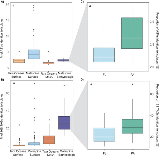 A Proportion of isolates matching at 100% identity to ASVs. B Proportion of 16S TAGs reads matching isolates at 100 % similarity. Values are extracted from the mean abundance of reads or ASVs in each dataset from rarified ASV-abundance tables. Outliers are indicated with gray circles. If significant differences are found between all datasets it is indicated inside boxplots with an italic a (Kruskal–Wallis, P-value < 2.2e−16). C Proportion of isolates that are 100% similar to ASVs when separating free-living and particle-attached size fractions in the Malaspina Bathypelagic dataset. D Proportion of 16S TAGs reads matching isolates at 100% similarity when separating free-living and particle-attached size fractions in the Malaspina Bathypelagic dataset. Significative differences between size fractions (P-value < 0.01) are indicated by an italic a in the top left corner.