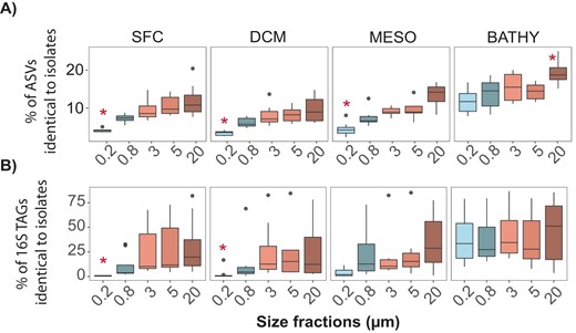 A Percentage of isolates identical to ASVs per size fraction and depth. B Percentage of reads (16S TAGs) that were 100% identical to at least one isolate. SFC surface, DCM deep chlorophyll maximum, MESO mesopelagic, and BATHY bathypelagic. 0.2 μm: free-living bacteria (0.2–0.8 µm), 0.8 μm: bacteria attached to small particles (0.8–3 µm), and 3.0–5.0 and 5.0-20 μm: bacteria attached to larger particles. Significant differences between size fractions in each layer are indicated by red asterisks (Kruskal–Wallis, P-value < 0.05).