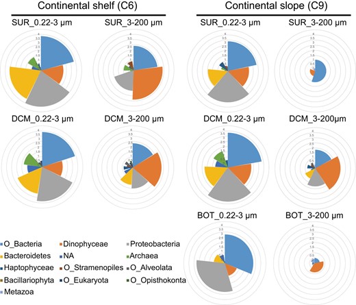 In a Nightingale rose diagram, different colors indicate rhodopsins from different supergroups of microbes. Radius of sectors show expression level in each supergroup of microbe. Central angle shows proportion of each microbial supergroup’s rhodopsin transcript in all microbial groups’ rhodopsin transcripts. SUR surface water, DCM deep chlorophyll maximum, BOT bottom of photic zone.