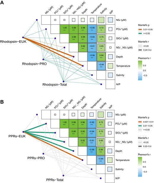 A The correlations between microbial rhodopsin and environmental factors. The Rhodopsin-EUK, Rhodopsin-PRO and Rhodopsin-Total were the abundances (TPM) of all rhodopsin annotated to eukaryotic, prokaryotic microbes or total microbial rhodopsins mRNA pool, respectively. B The correlations between PPRs and environmental factors. PPRs-EUK and PPRs-PRO were the abundances of PPRs, including PRs, BRs, and XRs from prokaryotic and eukaryotic microbes, respectively. PPRs-Total is the abundance (TPM) of all PPRs from prokaryotic and eukaryotic microbes. Edge width corresponds to the Mantel’s r statistic for the corresponding distance correlations. The sizes of boxes and the number in the boxes signify the Pearson correlation coefficient between environmental parameters.