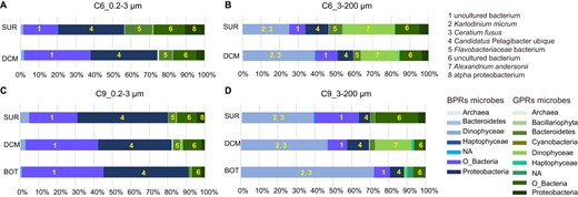 A, B Shelf station; C, D slope station. The different shades of blue and green boxes depict different BPRs and GPRs expressed by different supergroups of microbes. Numbers in boxes indicate the highest (or top two) expressing species (shown on the upper right) in its supergroup (shown on the lower right). Labels on the left of each row show sampling depth: SUR surface water, DCM deep chlorophyll maximum, BOT bottom of photic zone.
