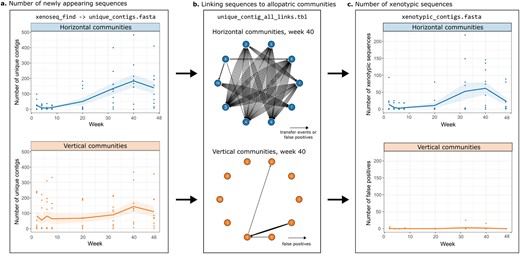 a Unique contigs within horizontal (blue) and vertical (orange) communities identified by xenoseq_find. The solid lines represent the mean across 10 communities, shaded areas represents the standard error. b Aligning contigs identified by xenoseq_find to ancestral samples allows linking of donor-acceptor pairs (example network shown for horizontal and vertical communities at week 40, also see Supplementary Figs. 1+2). For horizontal communities, links in the network represent candidate elements that are horizontally transferred. For vertical communities, the links instead represent false positives, as transfer from allopatric communities is excluded by the experimental design. c The number of xenotypic contigs (sequences linked to at least one donor community) identified in horizontal communities is shown in blue, and false positives observed in vertical communities is shown in orange. Dots represent 10 different replicate communities sampled at each time point, the solid lines represent the mean a cross communities, and the shaded area represents the standard error.