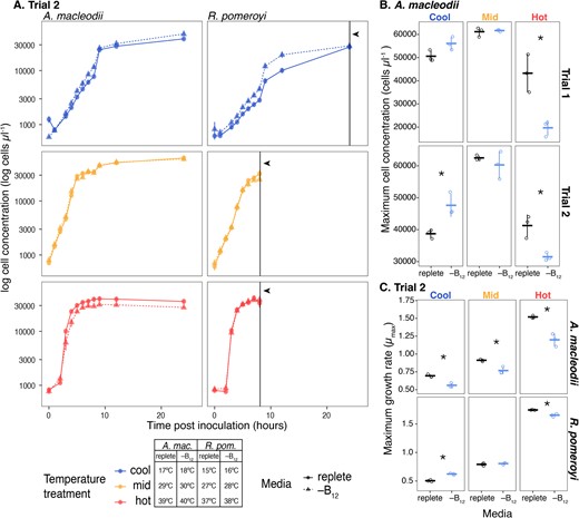 A Growth curves for both species from experimental trial 2. Colors represent temperature treatments, with the exact temperature for each treatment included in the legend. Point and line shapes represent the media treatment: replete (replete minimal media; circles and solid lines) and −B12 (minimal media without vitamin –B12; triangles and dashed lines). Each point is the mean log cell concentration of three biological replicates determined by flow cytometry, with error bars representing one standard deviation of the mean. Black vertical lines indicated by arrowheads designate time points where R. pomeroyi cultures were harvested for B12 measurements by mass spectrometry. B Maximum cell concentrations (biomass) reached by A. macleodii in experimental trials 1 and 2. Horizontal marks represent the mean cell concentration for each treatment; vertical error bars are one standard deviation of the mean; open circles are individual data points. The statistical significance of media treatment at each temperature was tested by t-test and p < 0.05 is indicated on the plots by an asterisk (‘*’). There was a statistically significant reduction in maximum biomass by 57% and 22% in trials 1 and 2, respectively, when A. macleodii was grown without vitamin B12 at the hottest temperature tested. C Maximum growth rates (µmax) for A. macleodii and R. pomeroyi in each temperature and media treatment combination in experimental trial 2. Growth rates were calculated from individual growth curves using the ‘growthrates’ package in the R computing environment. The statistical significance of media treatment on mean maximum growth rate at each temperature was tested by t-test and p < 0.05 is indicated on the plots by an asterisk (‘*’). A. macleodii cultures grown in replete media had a significantly higher maximum growth rate at all temperatures but the difference in mean maximum growth rate (µmax) between media treatments was largest in the hot temperature treatment (0.32 (27%), compared to 0.14 (14%) in mid and 0.13 (18%) in cool). The impact of media treatment on maximum growth rate was more varied for R. pomeroyi with the maximum growth rate significantly higher in replete media only at the highest temperature treatment.