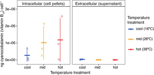 R. pomeroyi cultures in early stationary phase were harvested for cyanocobalamin (B12) measurements by mass spectrometry. Measured values were normalized to the number of cells in the originating culture volume (i.e., the number of cells in a cell pellet or the number of cells removed from a supernatant). Horizontal marks represent the mean B12 concentration per cell for each treatment; vertical error bars are one standard deviation of the mean; open circles are individual data points. Pelleted cells contained significantly more B12 than was present in supernatants (p < 0.05, t-test). While not a statistically significant difference, cells grown in the mid and hot-temperature treatments tended to have higher intracellular vitamin B12 concentrations than cells grown in the cool-temperature treatment.