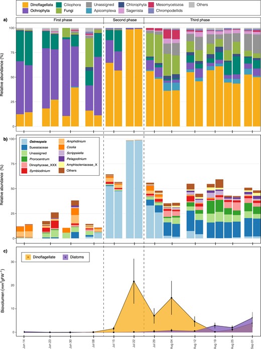 a Bar plot showing the variation (%), in replicates, of the different epiphytic eukaryote groups at each sampling date. b Bar plot showing the variation in the epiphytic dinoflagellate assemblage on macroalgae. Relative abundances (%) are based on the total protist community. c Non-stacked area plot showing the variations in the biovolumes of epiphytic diatom and dinoflagellate groups. Vertical dashed lines represent the three temporal phases described in the text.