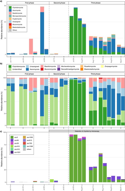 a Bar plot showing the variation, in replicates, of the epiphytic fungal assemblage as determined using the V4 18S rDNA region. Relative abundances (%) are based on the total protist community. b Bar plot showing the relative abundance of the fungal groups as determined using the ITS region. c Bar plot showing the relative abundance of Chytridiomycota with respect to the fungal community based on the ITS region. The ten most abundant Chytridiomycota ASVs are shown; the remaining nine ASVs are included in the “other” category. The shaded area between (b) and (c) indicates the period when the presence of chytrids was detected by light microscopy, epifluorescence microscopy or incubation of natural samples.