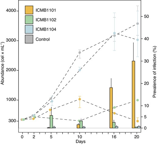 Cell abundance (cells mL−1) of host Ostreopsis sp. strain ICMB293 and the prevalence (%) of strains of the chytrid parasite D. arenysensis (ICMB1101, ICMB1102 and ICMB1104) over time (days). Dashed lines correspond to cell abundance, and bars to prevalence. Whiskers represent the standard deviation.