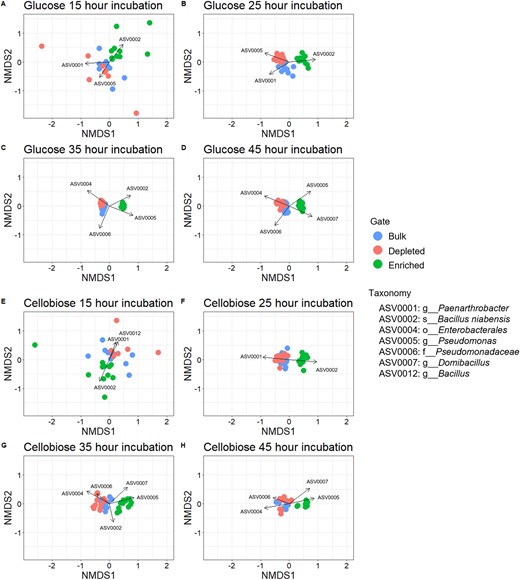 Nonmetric multidimensional scaling (NMDS) for Bray Curtis Dissimilarity of community relative abundance with SIMPER analysis with ASVs representing 70% of the sample differences for comparisons between enriched vs bulk and enriched vs depleted. A–D Sorted populations for glucose-MUB incubations. A Time point 1–15 h. B Time point 2–25 h. C Time point 3–35 h. D Time point 4–45 h. E–H Sorted populations for cellobiose-MUB incubations. E Time point 1–15 h. F Time point 2–25 h. G Time point 3–35 h. H Time point 4–45 h.