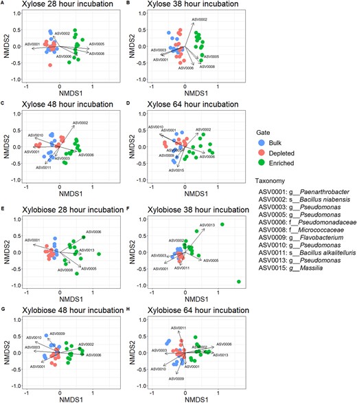 Nonmetric multidimensional scaling (NMDS) for Bray Curtis Dissimilarity of community relative abundance with SIMPER analysis with ASVs representing 70% of the sample differences for comparisons between enriched vs bulk and enriched vs depleted. A–D Sorted populations for xylose-MUB incubations. A Time point 1–28 h. B Time point 2–38 h. C Time point 3–48 h. D Time point 4–64 h. E–H Sorted populations for xylobiose-MUB incubations. E Time point 1–28 h. F Time point 2–38 h. G Time point 3–48 h. H Time point 4–64 h.