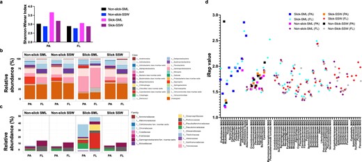 Shannon-Wiener Index for PA and FL bacterial fractions from slick versus non-slick samples (a), relative abundance of bacterial classes among PA and FL fractions (b), and families of Gammaproteobacteria in greater detail (c). In situ replication rates (based on iRep) for bacterial metagenome-assembled genomes (d). FL free-living fraction (5–0.2 µm), PA particle-associated fraction (>5 µm), SML sea-surface microlayer, SSW subsurface water (~70 cm depth).