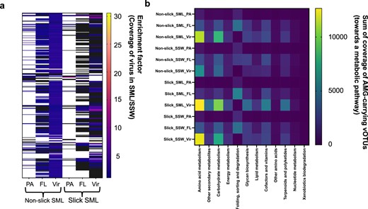 Enrichment of viruses in slick SML and non-slick SML across different filtered fractions. Shown are coverage ratios >1 indicating enrichment of a virus in the SML compared to the corresponding reference subsurface water sample. Black areas indicate depletion of a virus (ratio <1), while white areas show absence of the virus in the nominator or denominator of the ratio. Values and VCs of the heatmap’s y-axis are given in Table S8a (a). Coverage of vOTUs carrying an auxiliary metabolic gene (AMG), sorted by KEGG category (b). Only vOTUs being present in a sample based on read mapping were considered for this analysis. Full information on involved AMGs is given in Table S8b. FL free-living fraction (5–0.2 µm), PA particle-associated fraction (>5 µm), SML sea-surface microlayer, SSW subsurface water, Vir viral fraction (<0.2 µm).