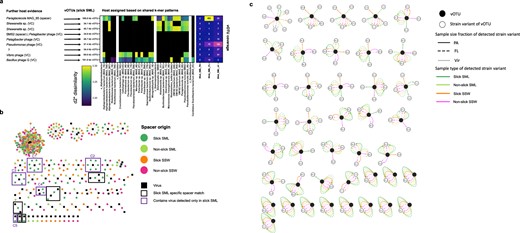 Based on k-mer frequency patterns, vOTUs were predicted to match host MAGs and isolate genomes (middle). Further host evidence (left) was derived from vConTACT2 viral clustering (VC) with known phages from reference database and CRISPR spacer matches from MAGs. The heatmap (right) depicts the coverage of vOTUs in the three size fractions. D2* is a dissimilarity measure (the lower, the higher the similarity) (a) CRISPR-spacer to vOTU protospacer matches at 100% similarity reveal ten clusters with slick SML derived spacers, with C1-C5 including a slick SML specific vOTU from (a), framed in purple (b). Viral micro-diversity for different water sample types and filtered size fractions. Open circles represent strain variants of the viral OTUs (closed circles) and lines indicate the sample in which the respective variant has been detected. This figure corresponds to the results shown in Table S12b. FL free-living fraction (5–0.2 µm), PA particle-associated fraction (>5 µm), SML sea-surface microlayer, SSW subsurface water, Vir viral fraction (<0.2 µm) (c).